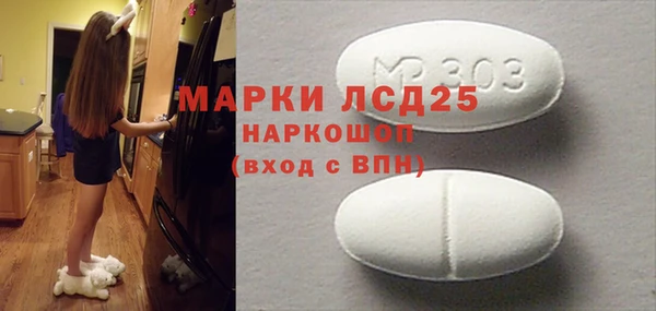 индика Балахна