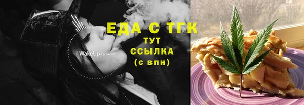индика Балахна