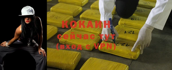 индика Балахна