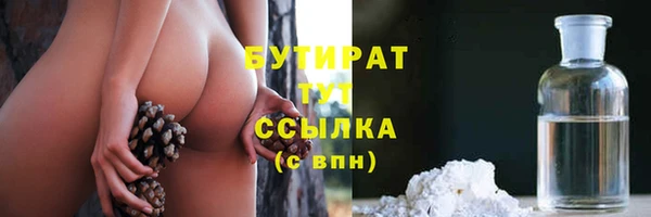 индика Балахна