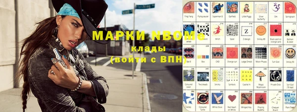 индика Балахна